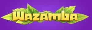 Bonus code bc game