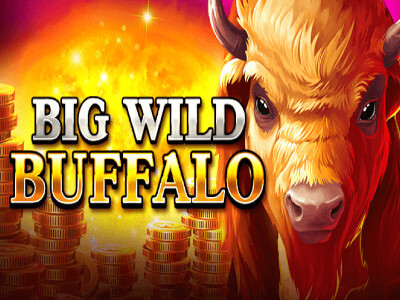 Bingo em casas online
